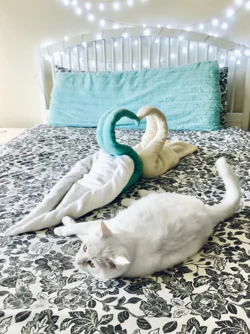 Queen House Cleaning - Photo 5