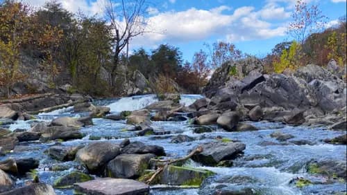 Queen House Cleaning - Photo 2