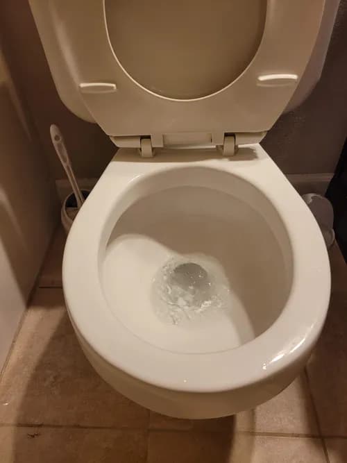 Queen V's Cleaning Services