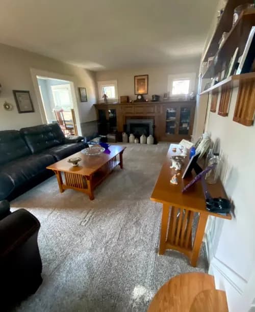 Quick Clean Buffalo - Photo 2