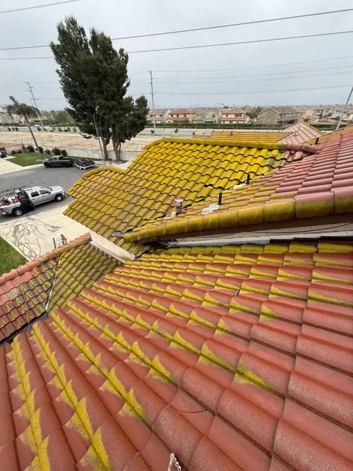 Radical Pressure Washing - Photo 2