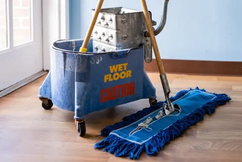 Ramírez cleaning service