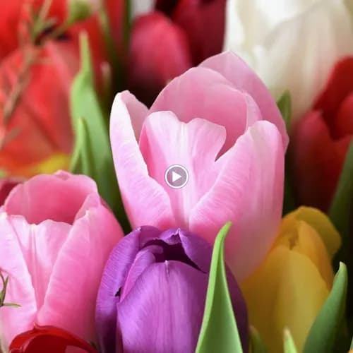 Ramirez House Cleaning - Photo 2