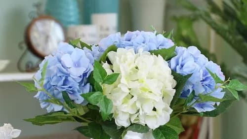 Ramos Multi-Cleaning Service