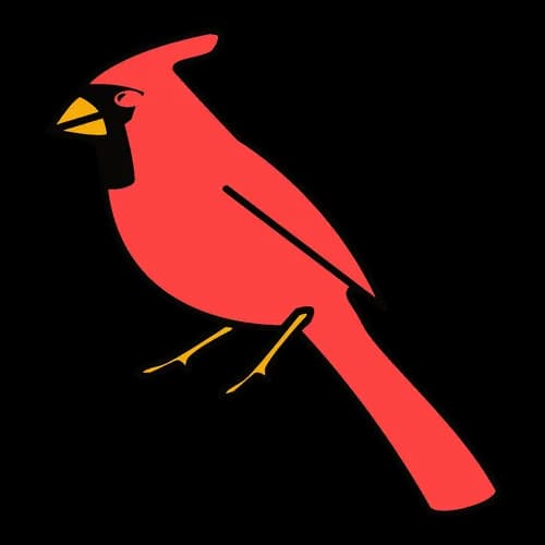 Redbird Cleaning & More LLC - Photo 1