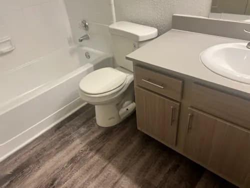 Renaissance Woman Cleans - Photo 2