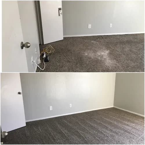 Renaissance Woman Cleans - Photo 1