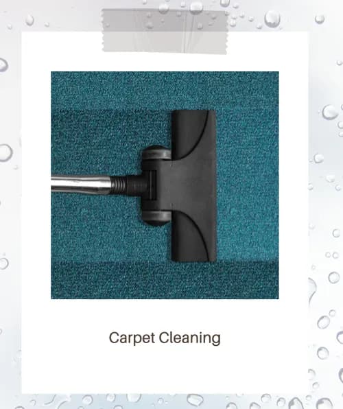 Renece's Quality Cleaning Services