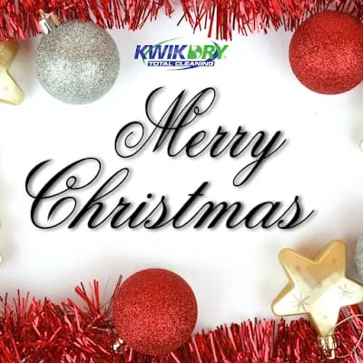 Reno Kwik Dry Total Cleaning - Photo 2