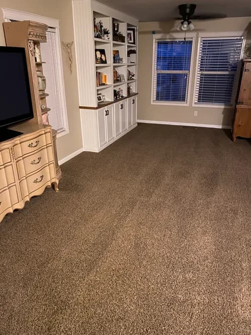 Reno Kwik Dry Total Cleaning - Photo 1