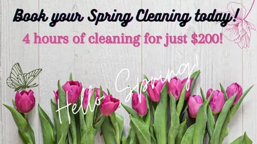 Reno's Biggest Little Cleaning Company - Photo 1