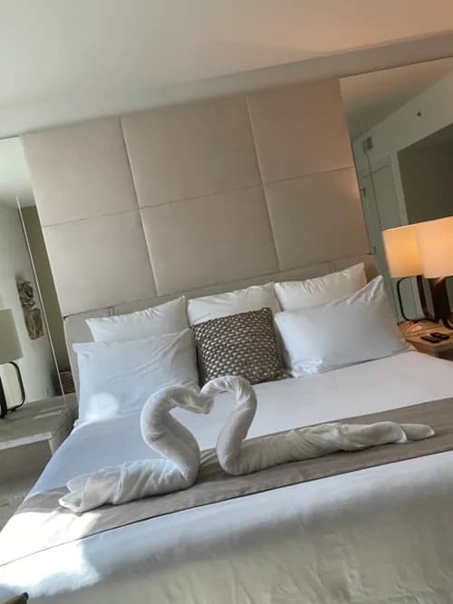 Rent-A-Maid Cleaning Services(Miami)