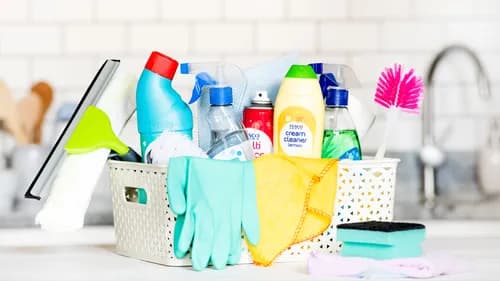 Rent Me Today Cleaning LLC | Santa Clarita