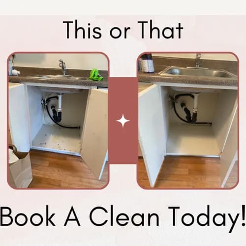 Revive and Shine Home Cleaning - Photo 1