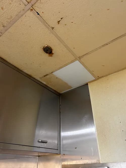 Revolutionary Cleaning Solutions - Photo 1