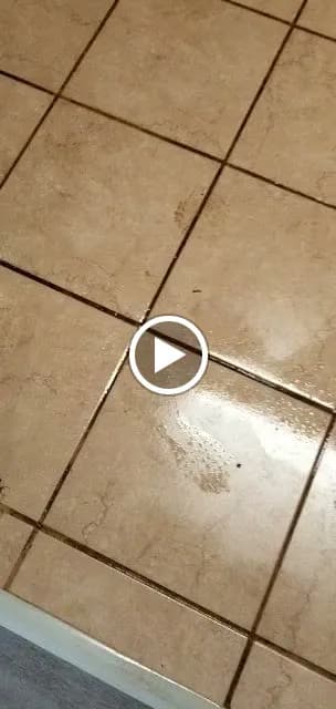 Reyes Cleaning Services of Chicago - Photo 5