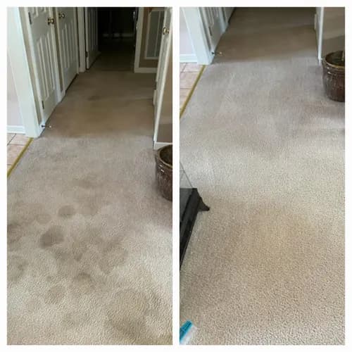 Richmond Kwik Dry - Photo 4