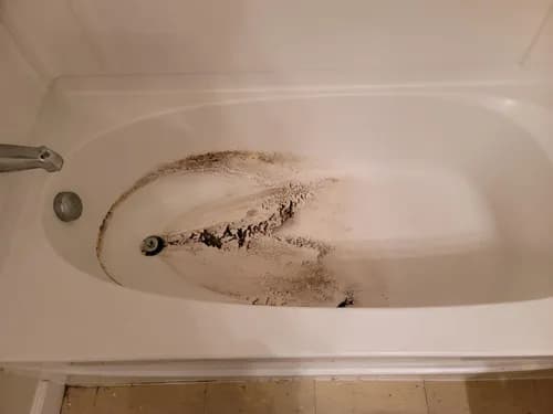 Right Now Cleaning Services