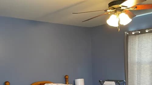 Rosa Chicas cleaning services