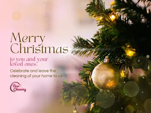 Rosa Cleaning Services - Photo 3