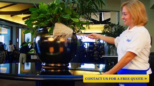 Rosa's cleaning services - Photo 3