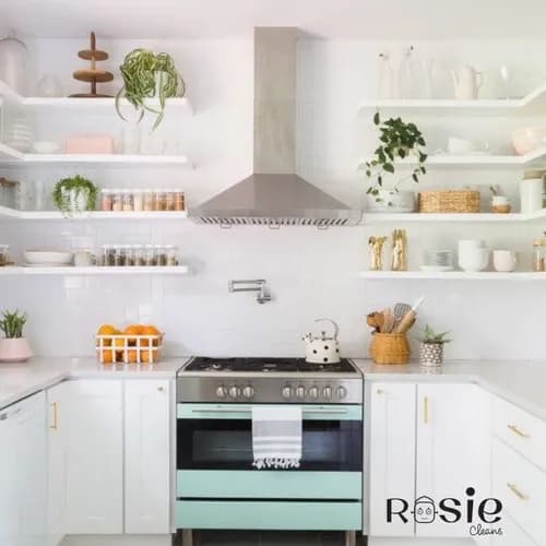 Rosie Cleans Huntsville