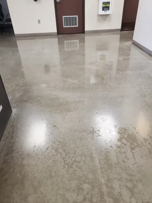 Ross Cleaning House - Photo 2