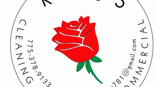 Ross Cleaning House - Photo 1