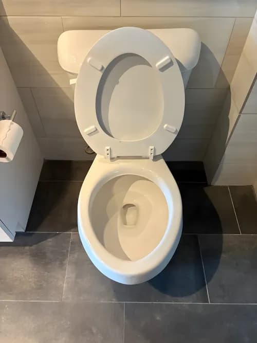 Rover Cleaners Fort Worth - Photo 2