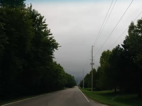 Royal Building Services L.L.C. - Photo 5