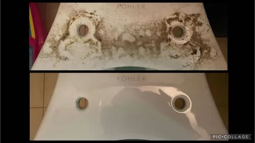 Royal Clean Roots LLC - Photo 2