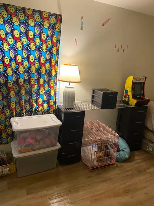 RVA Healthy Mind House Cleaning, LLC