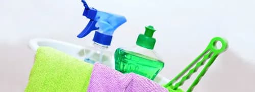 safari cleaning services