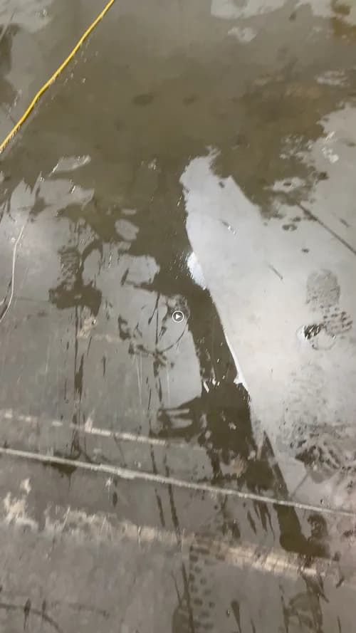 Salas Cleaning Services - Photo 4