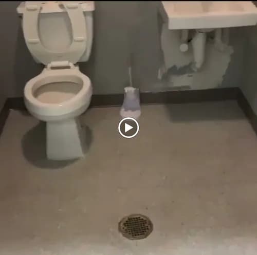 Satisfied Guaranteed Cleaning Company