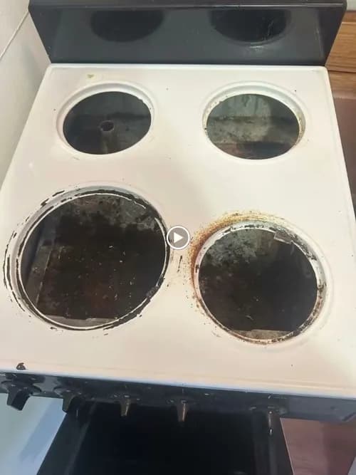 Scrub Culture Cleaning - Photo 3