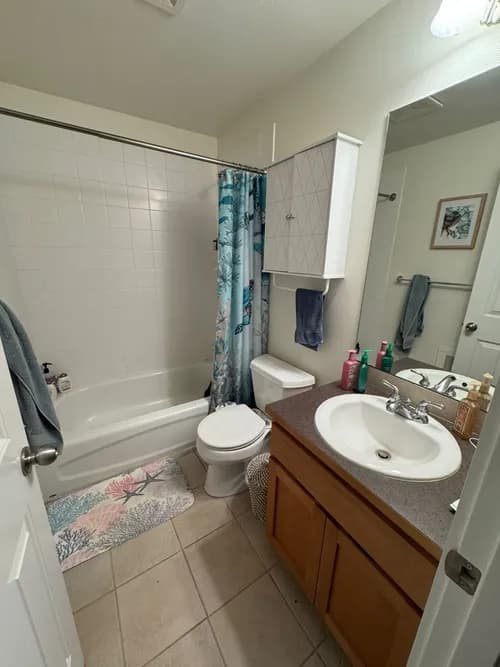 Seattle Green Cleaning Fairy - Photo 3