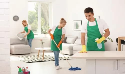 Seattle House Cleaners