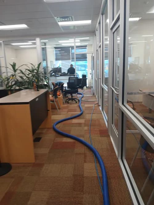 Security and Quality Cleaning Services - Photo 3