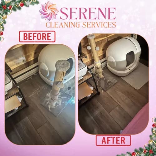 Serene Cleaning Services - Photo 5