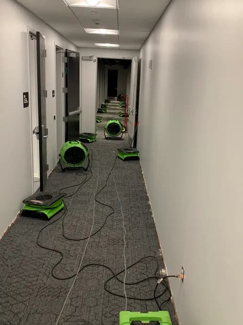 SERVPRO of Madison County - Photo 3