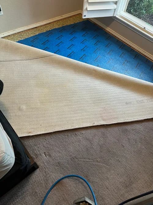 Seven Star Carpet,Tile and Upholstery cleaning services. - Photo 2