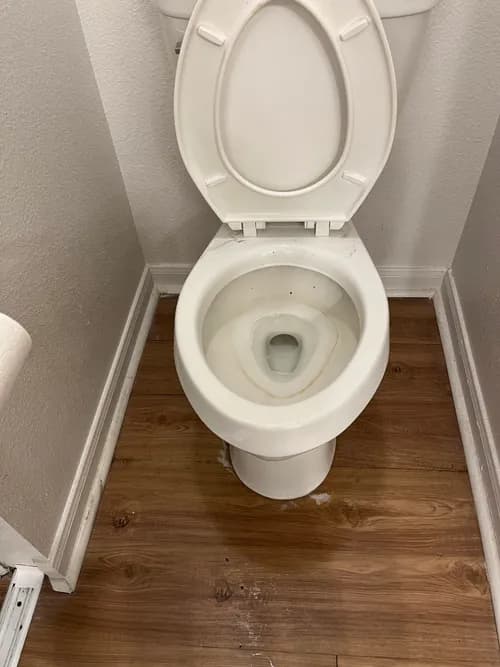 Shai Faith Cleaning and Maintenance Co.