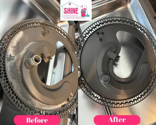 Shine Professional Cleaning Service