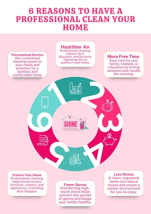 Shine Professional Cleaning Service - Photo 2