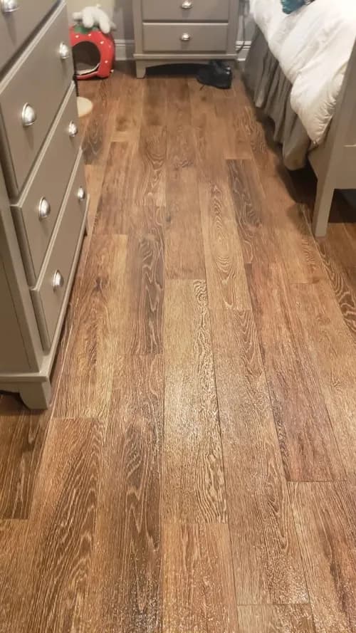 Shining Cleaning Services