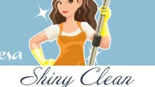 Shiny Clean LLC - Photo 2
