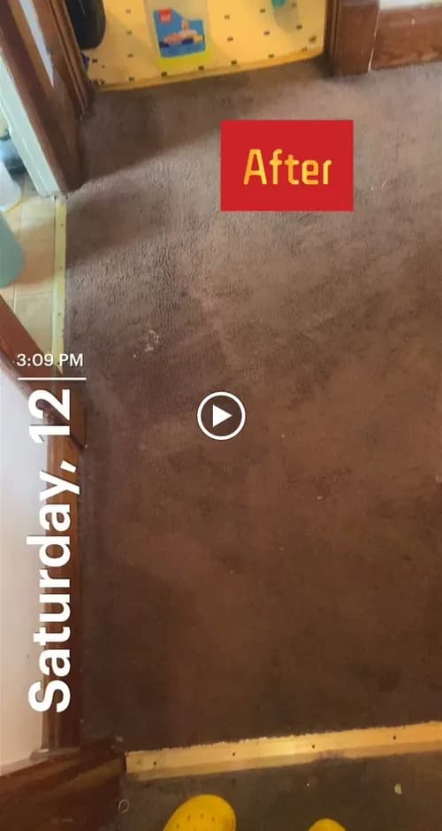 Sia's Cleaning Services - Photo 3