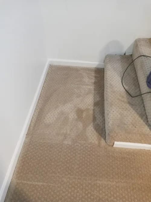 Sika Herr Cleaning and Service Professional - Photo 1