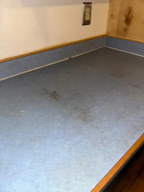 Simply Clean Alaska - Photo 2